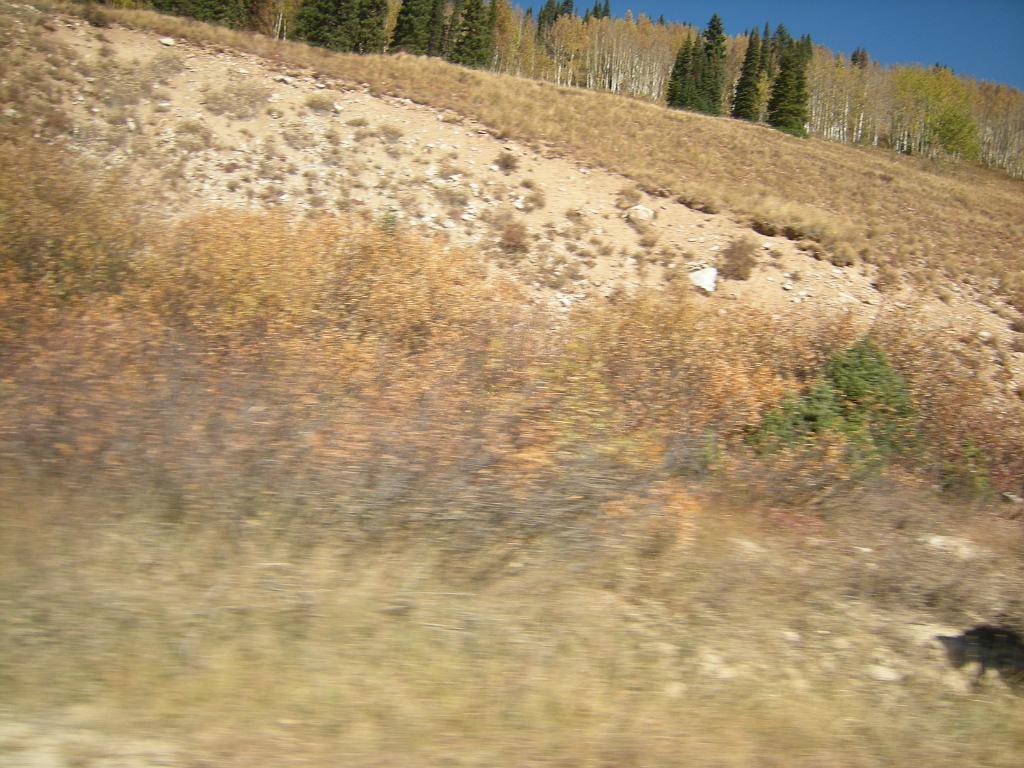 fall09 086